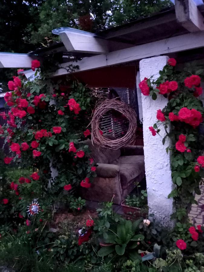 Farm stay 