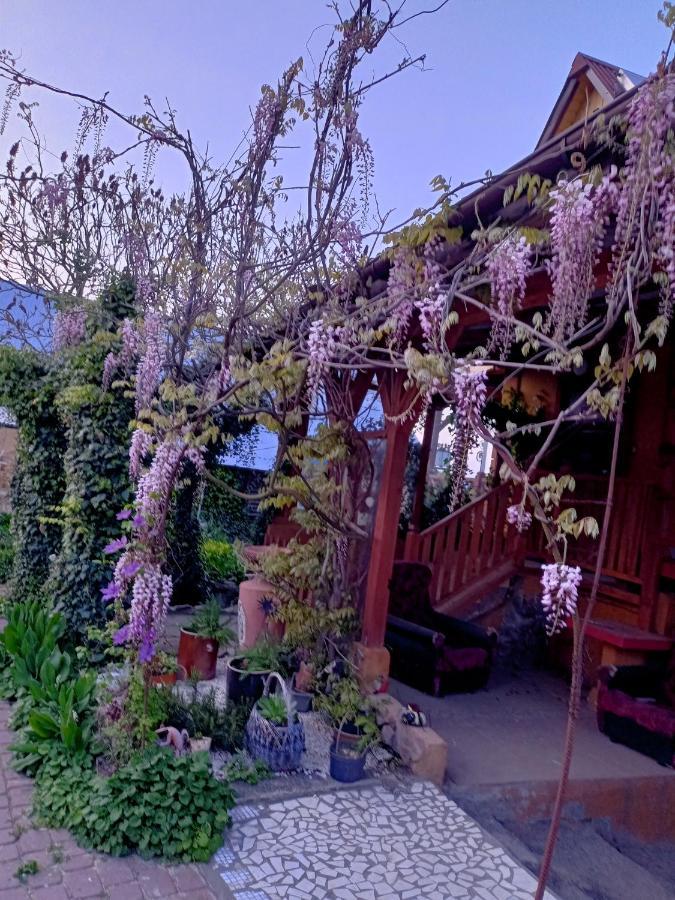 Farm stay 
