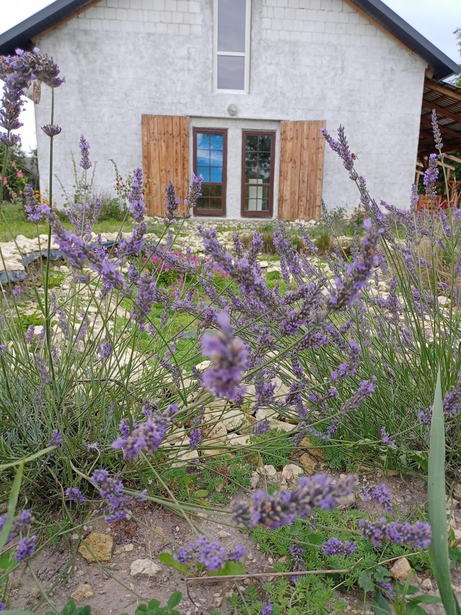 Farm stay 