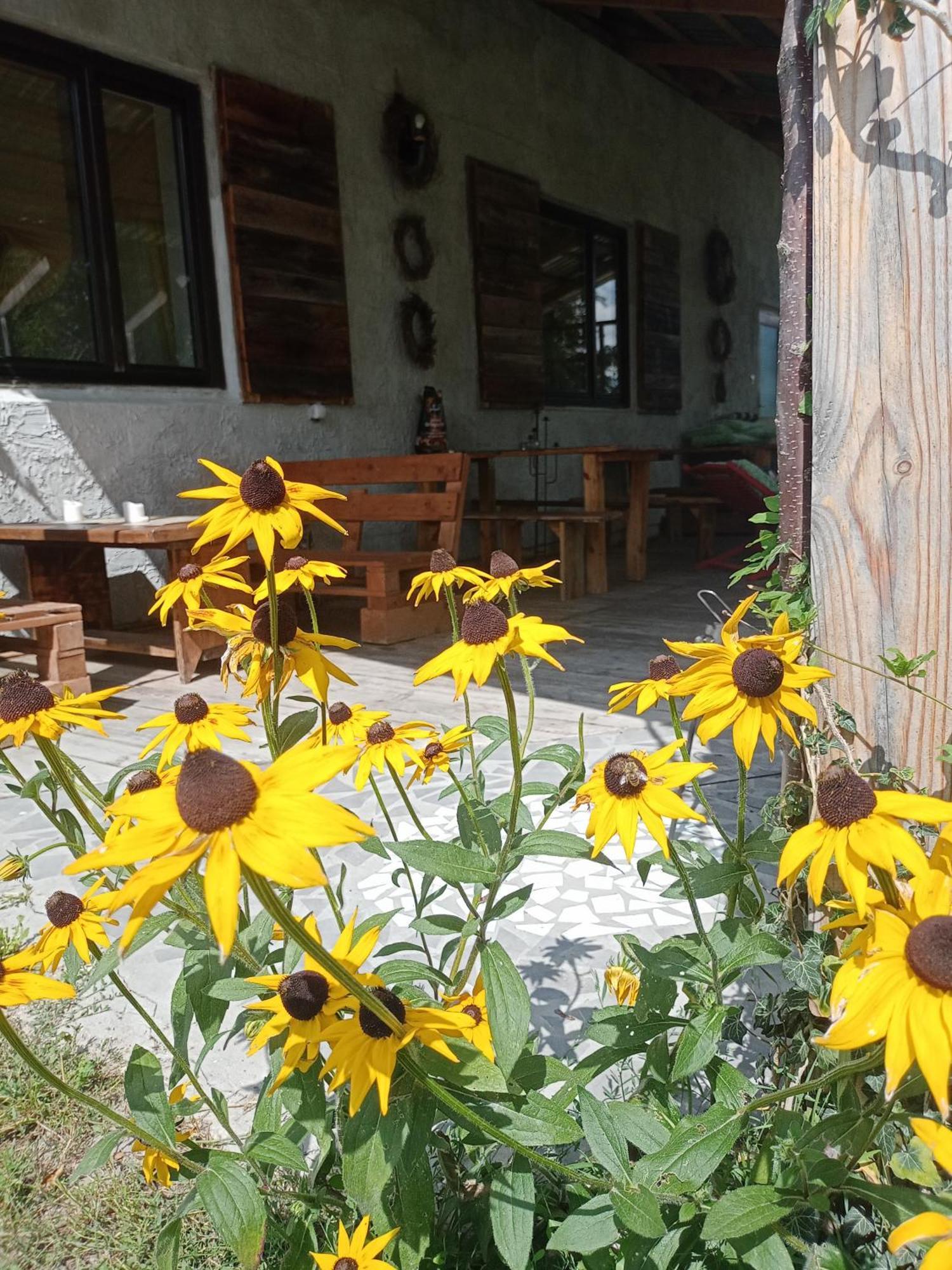 Farm stay 
