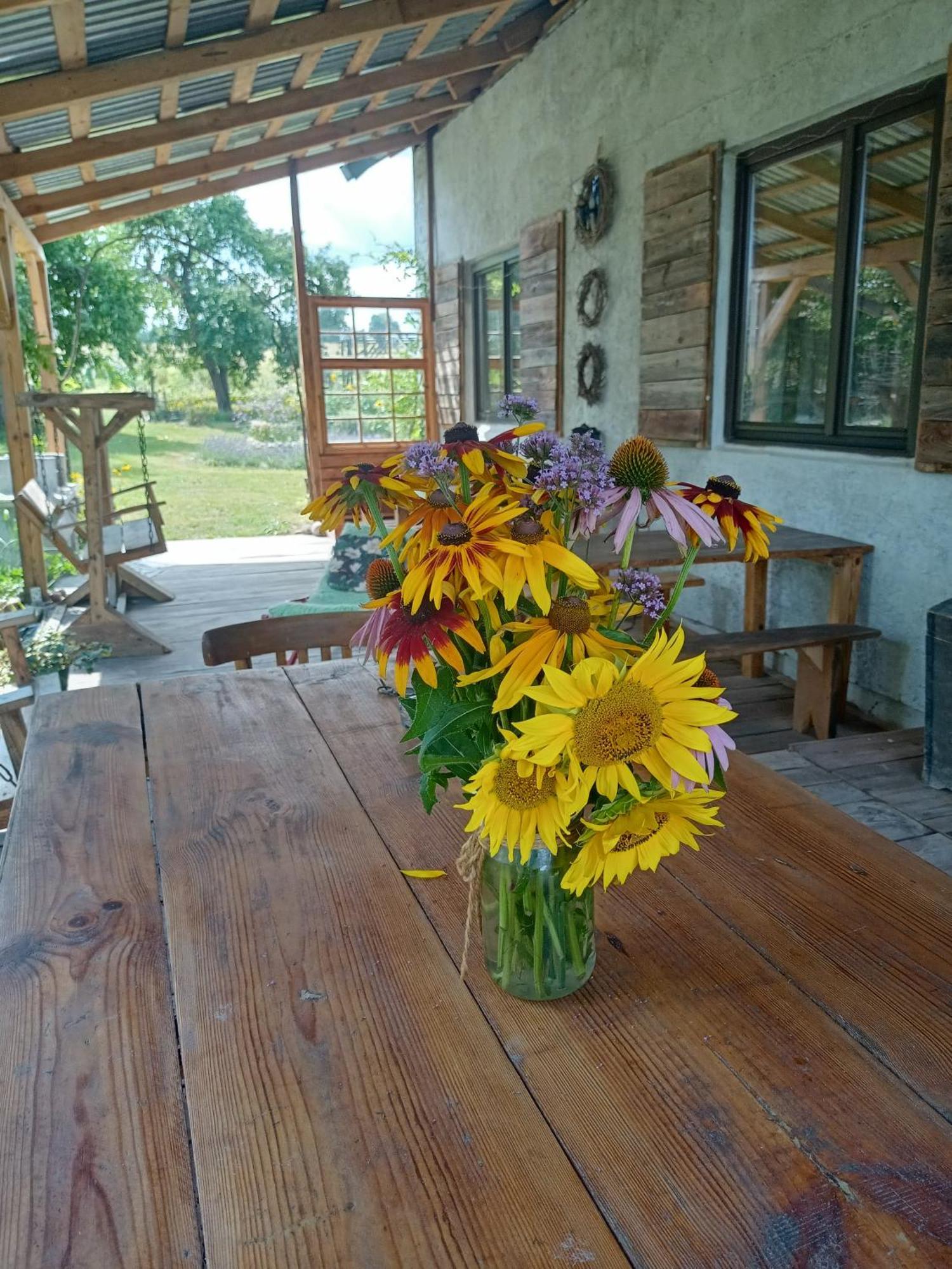 Farm stay 